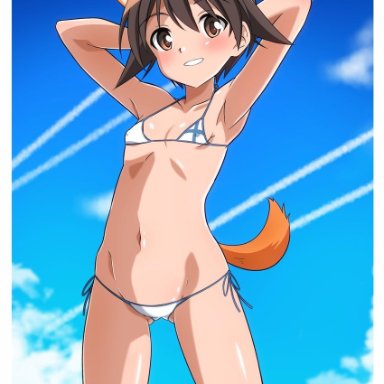 tricky 46, strike witches, world witches series, miyafuji yoshika, 1girl, animal ears, ass visible through thighs, bikini, blush, brown eyes, brown hair, covered nipples, dog ears, dog tail, flat chest