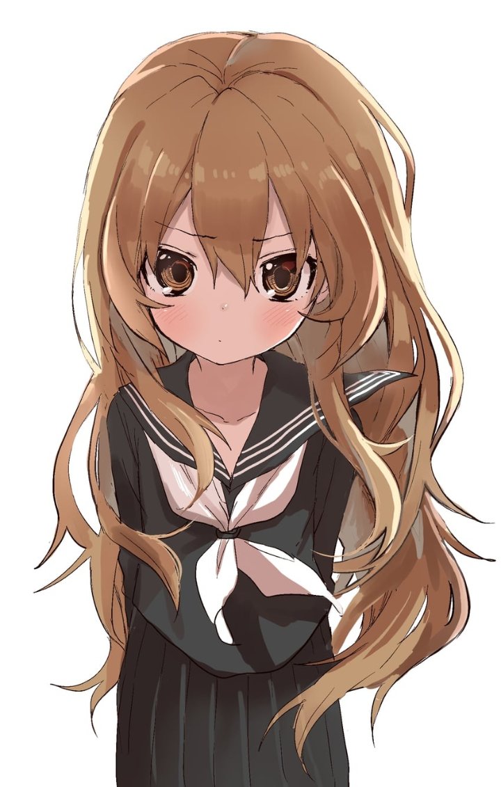 Anime R34 / toradora!, aisaka taiga, yamamoto souichirou, 1girl, bangs