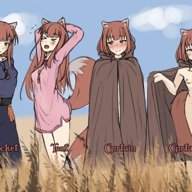 nyaxxy, spice and wolf, holo, 1girl, animal ears, bangs, blush, breasts, brown hair, cape, curtain call challenge, eyebrows visible through hair, field, holding, long hair