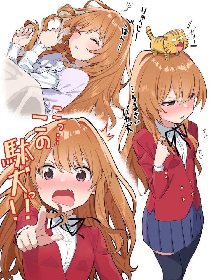 Anime R34 Toradora Aisaka Taiga Palmtop Tiger Mameroku 1girl 3849